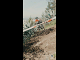 CURICO WINTER SERIES 2023 RIDER 151 Benjamin Illanez