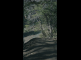 Campeon del Bike Park 2024 - Rider 152 TOMAS CLEMENTE FERNANDEZ