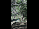 Campeon del Bike Park 2024 - Rider 153 AGUSTIN CHAPPUZEAU
