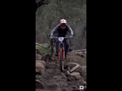 PACK DEACHE SERIES CATEMU 2023 Rider 159 Michael Williams