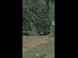 DEACHE SERIES PUCHUNCAVI RIDER 167 RODRIGO PALTA