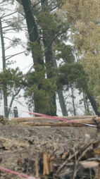 TALCA TOUR NACIONAL 2024 - RIDER 170 MAURICIO ALFARO