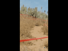 PACK VIDEO ENDURO SERIES PICHIDANGUI 3A FECHA EBIKE RIDER 17 Juan Pablo Garrido