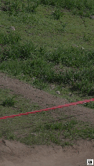TEAM CHENA RACE Rider 197 Amaro Retamales