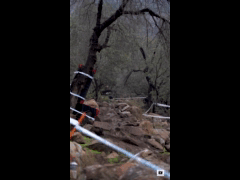 PACK DEACHE SERIES CATEMU 2023 Rider 206 Ademir Barrera