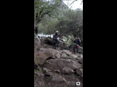 PACK DEACHE SERIES CATEMU 2023 Rider 208 Daniel Zamorano