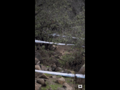 PACK DEACHE SERIES CATEMU 2023 Rider 209 Cristian Escobar