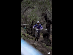PACK DEACHE SERIES CATEMU 2023 Rider 224 Carlos Cisterna