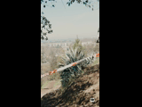 CURICO WINTER SERIES 2023 RIDER 22 Carlos Castro