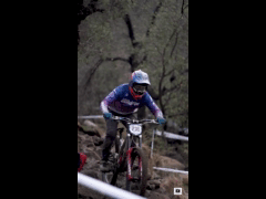 PACK DEACHE SERIES CATEMU 2023 Rider 230 Arturo Beniscelli