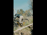 CURICO WINTER SERIES 2023 RIDER 23 Alonso Flores