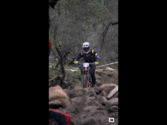 PACK DEACHE SERIES CATEMU 2023 Rider 278 Vicente Aragon