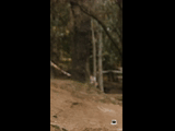 CURICO WINTER SERIES 2023 RIDER 28 Santiago Gutierrez