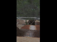 Copa Longabike Licanten 2024 - Rider 2 Benjamin Corral
