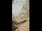 CURICO WINTER SERIES 2023 RIDER 30 Ignacio Brant