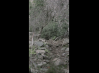 CATEMU TOUR NACIONAL 2024 RIDER 31 JOAQUIN JARA