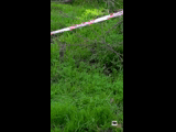 CURICO WINTER SERIES 2023 RIDER 33 Matias Williams