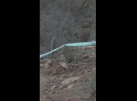 DHS Punitaqui 2024 - Rider 35 Bastián Moreno