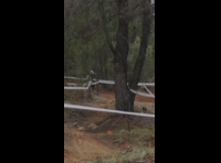 Copa Longabike Licanten 2024 - Rider 35 Esteban Castro