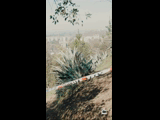 CURICO WINTER SERIES 2023 RIDER 36 Jose Vergara
