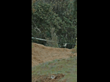 DEACHE SERIES PUCHUNCAVI RIDER 36 CRISTIAN JERIA