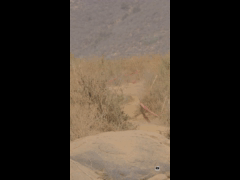 PACK VIDEO ENDURO SERIES PICHIDANGUI 3A FECHA Damas E1 Rider 37 Tomas Cornejo