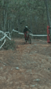 DHS Licanten 2024 - Rider 381 Benjamin Obrecht