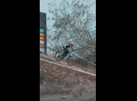DHS Punitaqui 2024 - Rider 38 Francisco Araos