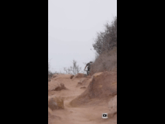 PACK RIDE FEST LAS PALMAS MAYO // EBIKE RIDER 390 Clemente Bononato
