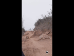 PACK RIDE FEST LAS PALMAS MAYO // EBIKE RIDER 391 Raul Martinez