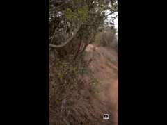 PACK RIDE FEST LAS PALMAS MAYO // EBIKE RIDER 394  Rodrigo Salazar