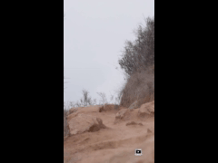 PACK RIDE FEST LAS PALMAS MAYO // EBIKE RIDER 395 Jorge Duran