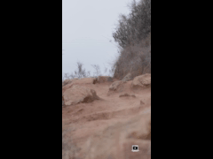 PACK RIDE FEST LAS PALMAS MAYO // EBIKE RIDER 396  Juan Jose Paris