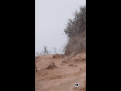 PACK RIDE FEST LAS PALMAS MAYO // EBIKE RIDER 398 Juan Hagn