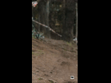 CURICO WINTER SERIES 2023 RIDER 39 Esteban Villagra