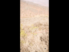 PACK VIDEO ENDURO SERIES PICHIDANGUI 3A FECHA EBIKE RIDER 3 Teo Nass Be Cycling - Giant