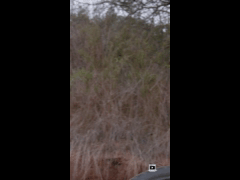 PACK RIDE FEST LAS PALMAS MAYO // EBIKE RIDER 403 Nicolas Infante Rauld