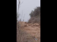 PACK RIDE FEST LAS PALMAS MAYO // EBIKE RIDER 411 Claudio Espinoza Olmos