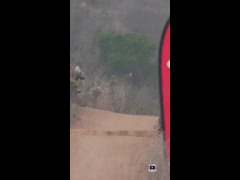 RIDE FEST LAS PALMAS MAYO // DH RIDER 426 Martin Guzman