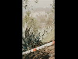 CURICO WINTER SERIES 2023 RIDER 43