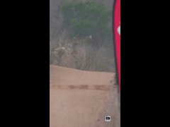 RIDE FEST LAS PALMAS MAYO // DH RIDER 461 Marcial Vasquez