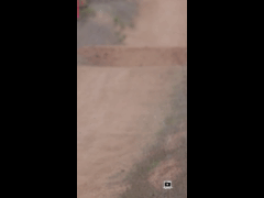 RIDE FEST LAS PALMAS MAYO // DH RIDER 461 Marcial Vasquez