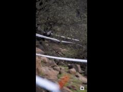 PACK DEACHE SERIES CATEMU 2023 Rider 57 Gonzalo Cuevas