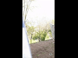 CURICO WINTER SERIES 2023 RIDER 62 David Araya
