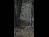 Campeon del Bike Park 2024 - Rider 70 BENJAMIN MARTINEZ