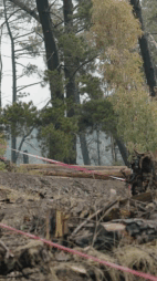 TALCA TOUR NACIONAL 2024 - RIDER 75 GUSTAVO ORTEGA