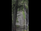 Campeon del Bike Park 2024 - Rider 77 JAVIER CERPA / DOMINGO
