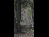 Campeon del Bike Park 2024 - Rider 78 PABLO CERONI / DOMINGO