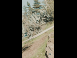 CURICO WINTER SERIES 2023 RIDER 84 Miguel Bravo