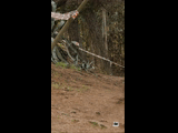 CURICO WINTER SERIES 2023 RIDER 8 Diego Sanchez